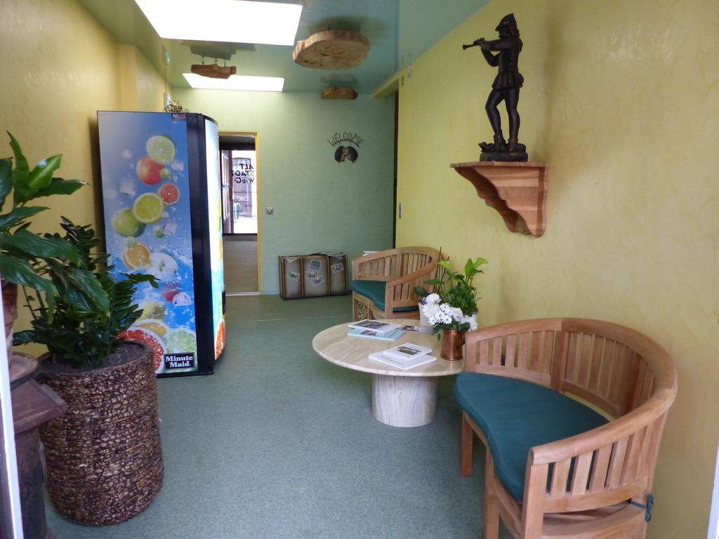 האמלן Hotel Altstadtwiege מראה חיצוני תמונה